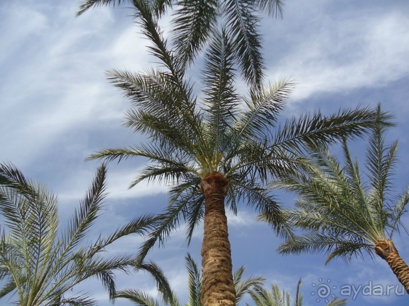 Вроде бы все, что пишут плохое - правда, но нам очень понравилось. Не зацикливайтесь