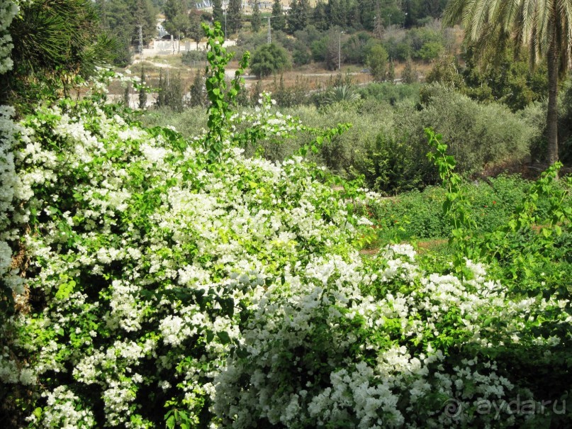 Великолепный Израиль