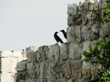 Великолепный Израиль