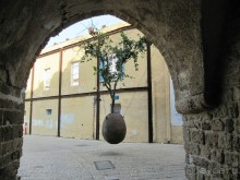 Великолепный Израиль