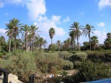 Великолепный Израиль