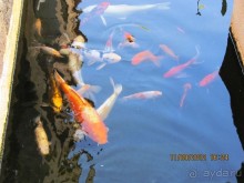 Великолепный Израиль