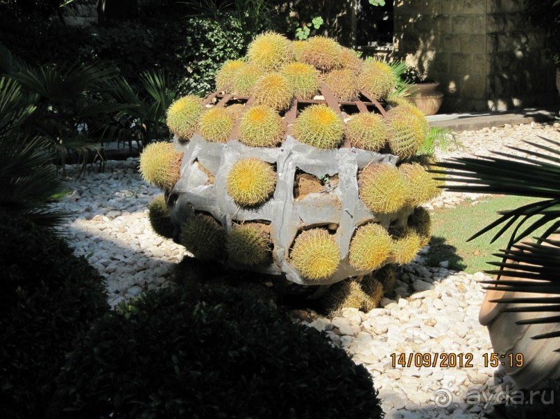 Великолепный Израиль