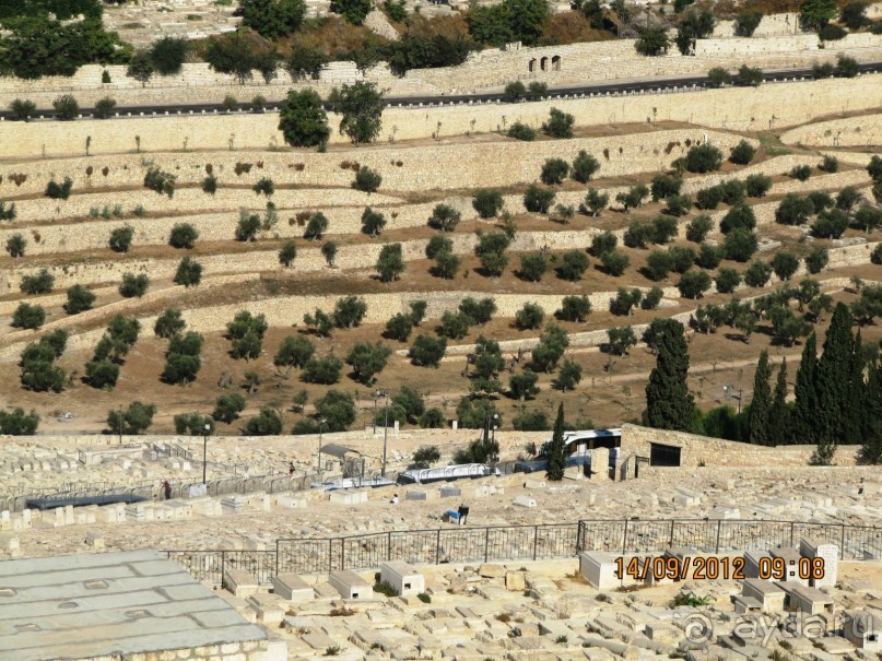 Великолепный Израиль