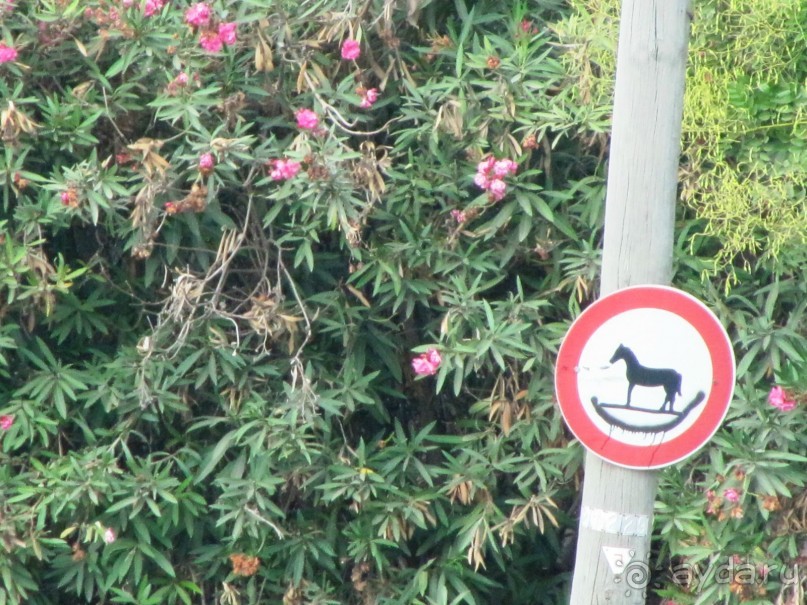 Великолепный Израиль