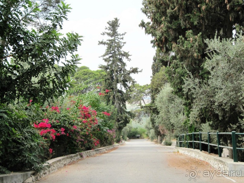 Великолепный Израиль