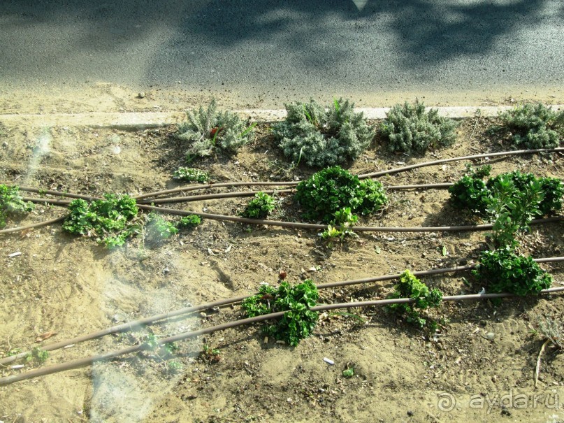 Великолепный Израиль