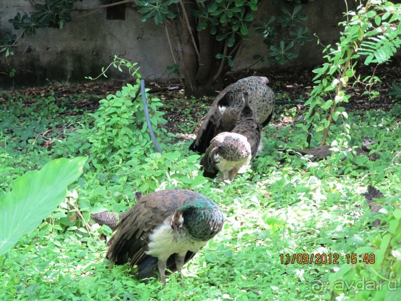 Великолепный Израиль