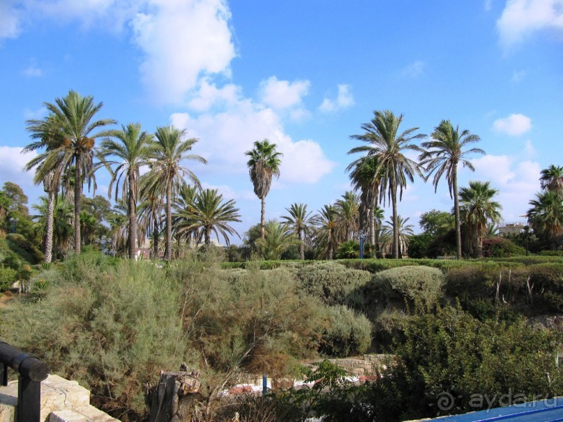 Великолепный Израиль