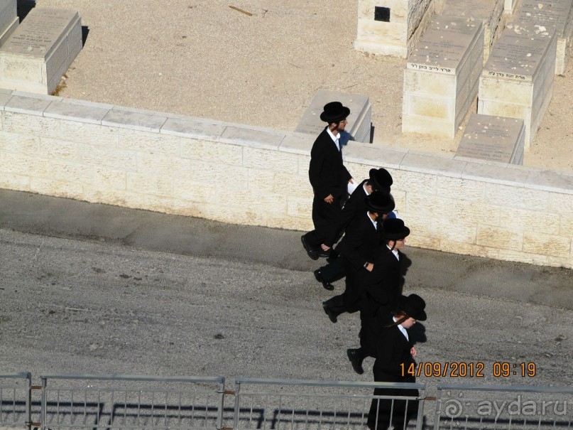 Великолепный Израиль