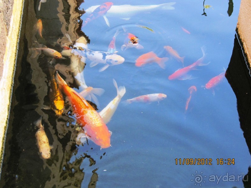 Великолепный Израиль