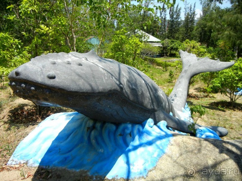 Битва Воды и Земли ► Нячанг Вьетнам