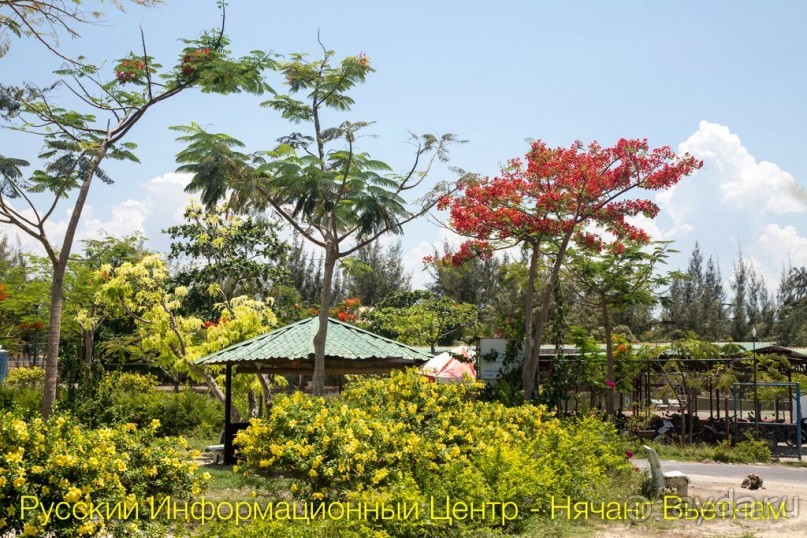 Отель Doc Let Resort ► Нячанг Вьетнам