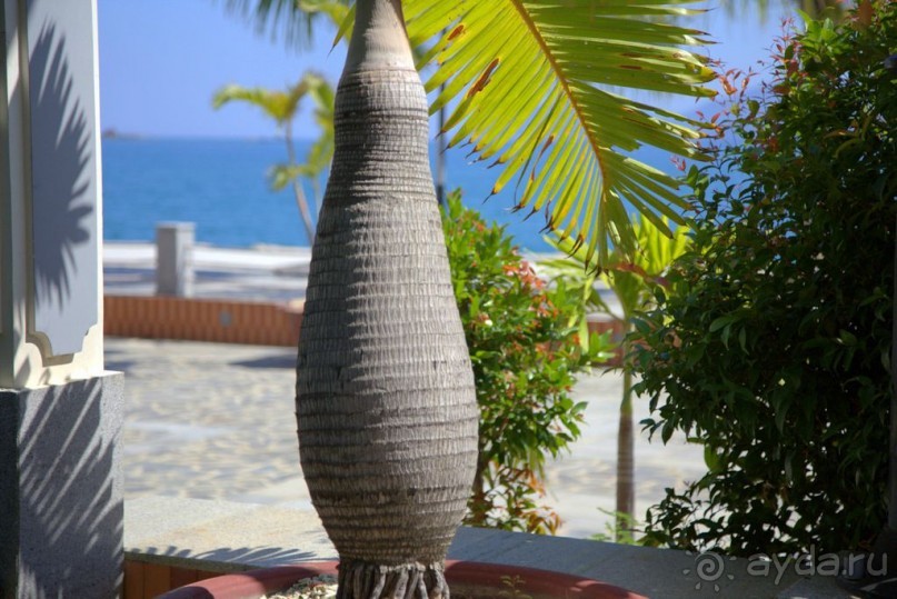 Виды Нячанга ► Нячанг Вьетнам