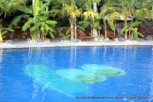 Термальный комплекс 100 яиц. Бассейны ► Нячанг Вьетнам