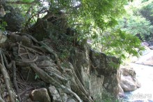 Водопады Ba Ho ► Нячанг Вьетнам