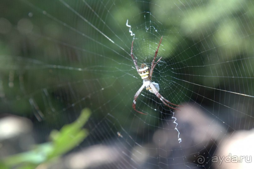 Водопады Ba Ho ► Нячанг Вьетнам