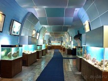 Места. Институт Океанографии 2014 ►Нячанг Вьетнам