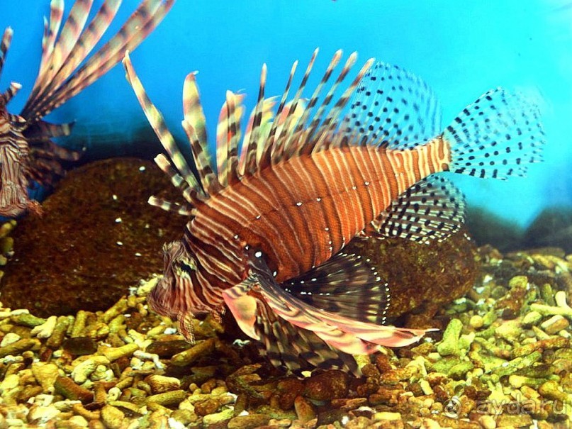 Места. Институт Океанографии 2014 ►Нячанг Вьетнам