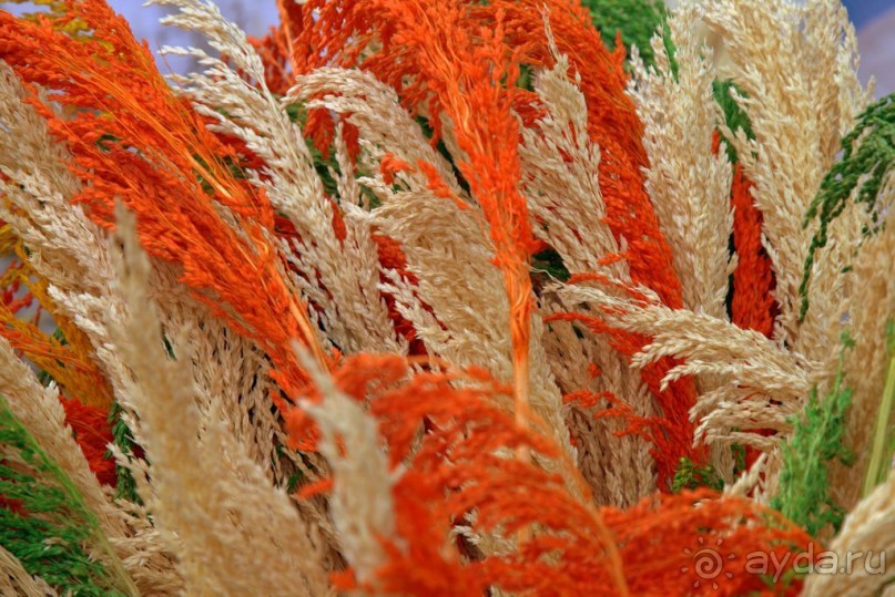 Цветочные украшения ► Нячанг Вьетнам