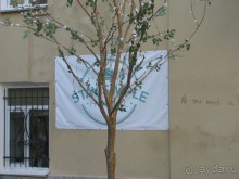 Поездка на автомобиле на выходные