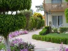 фото Les Alpages et le Cedrat