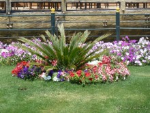 фото Pickalbatros Dana Beach Resort