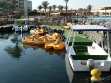 фото Les Alpages et le Cedrat