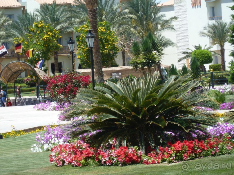 сладкие воспоминания