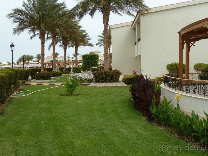 сладкие воспоминания