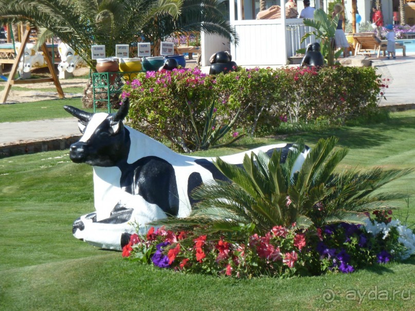 сладкие воспоминания