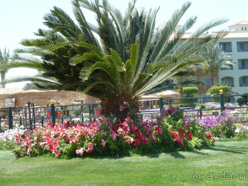 сладкие воспоминания