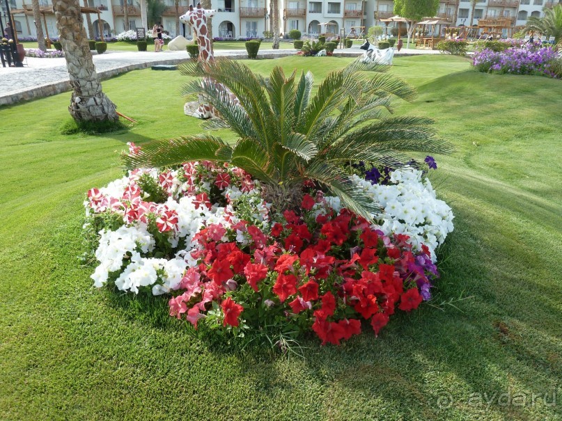 сладкие воспоминания