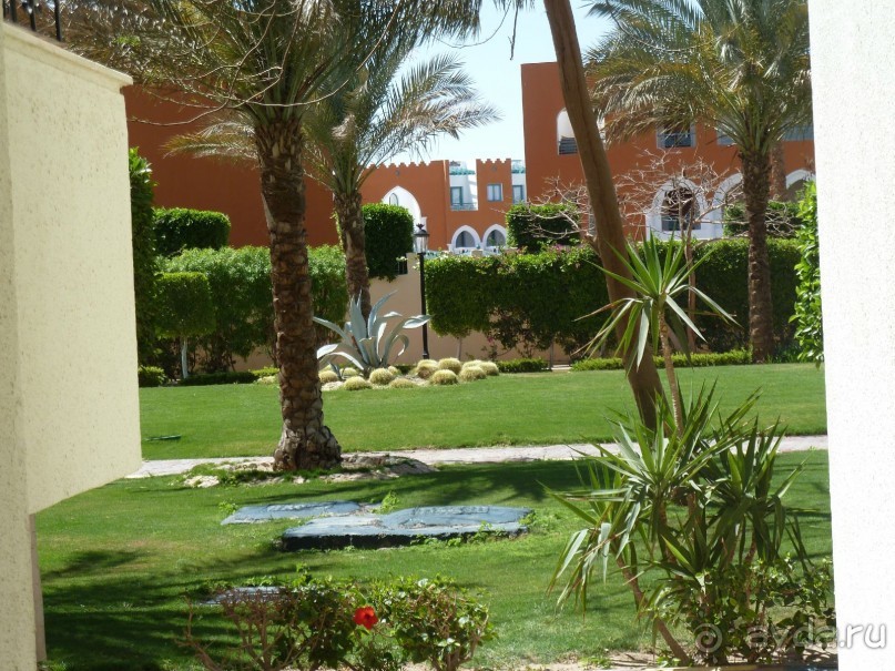 сладкие воспоминания