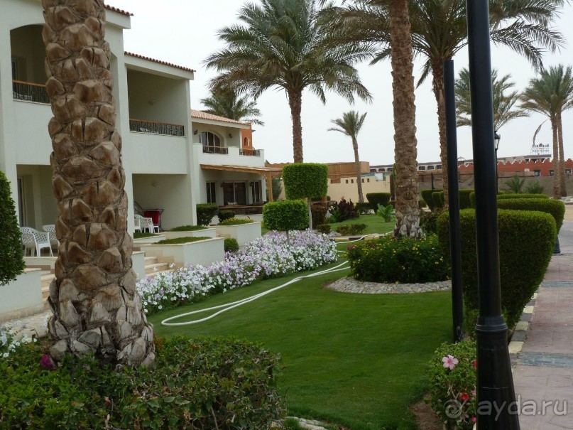 сладкие воспоминания