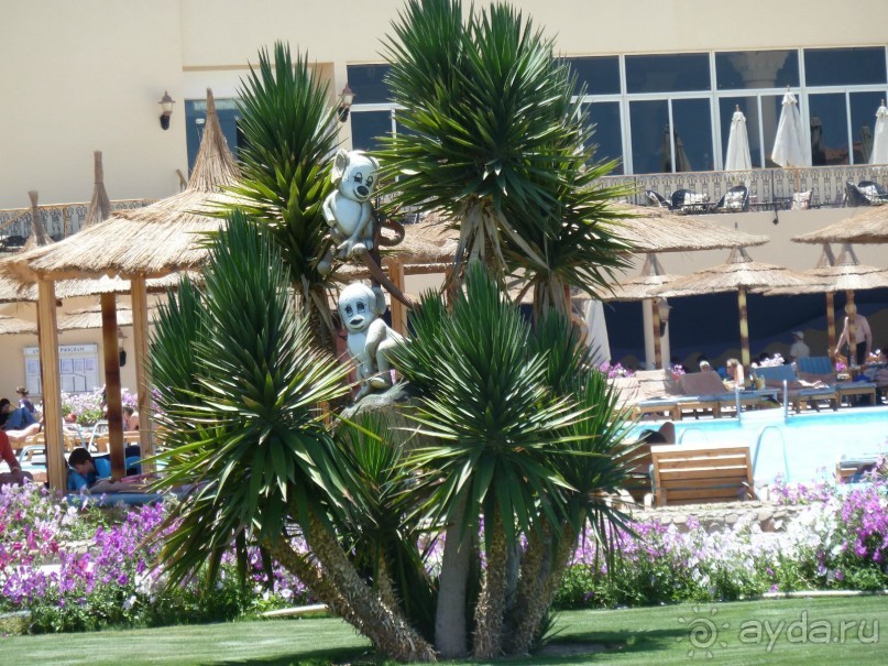 сладкие воспоминания