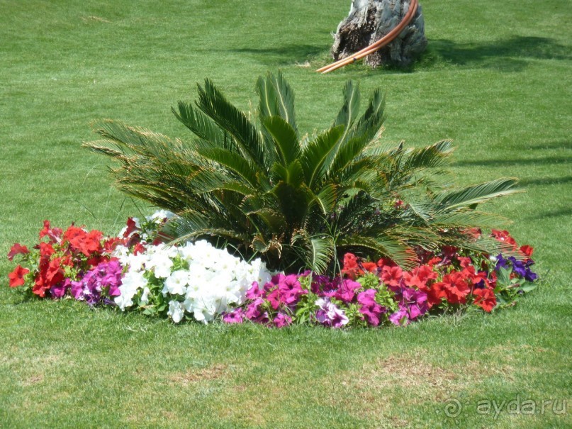 сладкие воспоминания