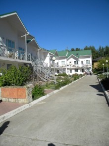 фото Дюны золотые