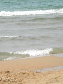 фото Дюны золотые