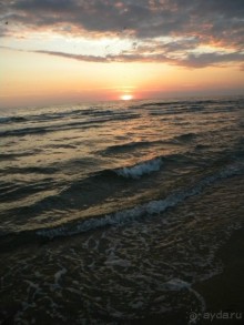 Советую всем!