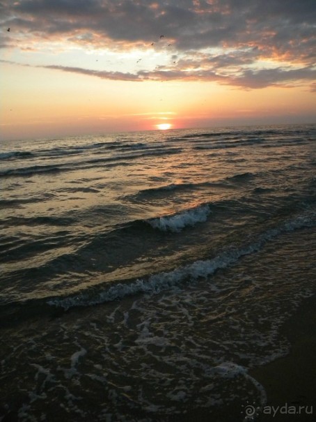 Советую всем!