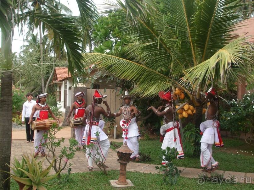 Мечты сбываются на "VILLE  LARISA"!!!