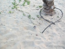 Не рекомендую