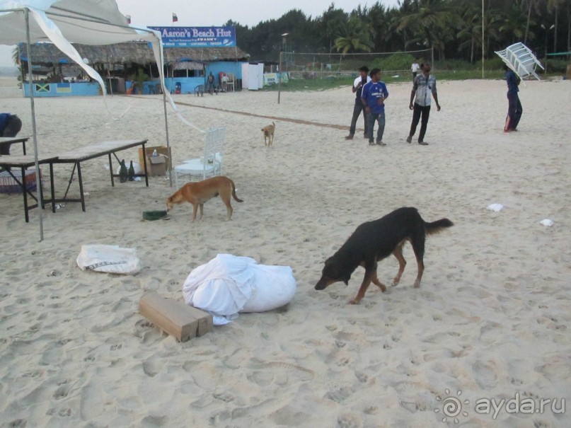 Не рекомендую