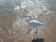 Отель просто класс!!