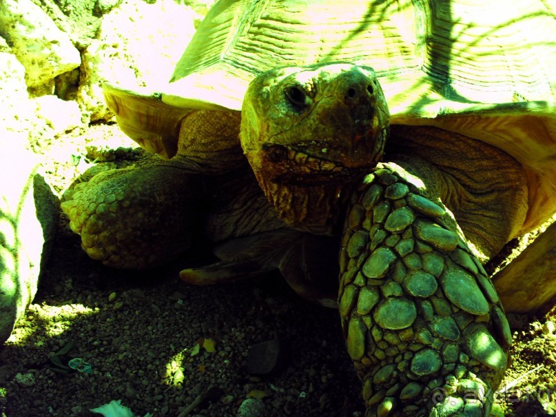 Отель просто класс!!