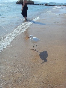 Отель просто класс!!