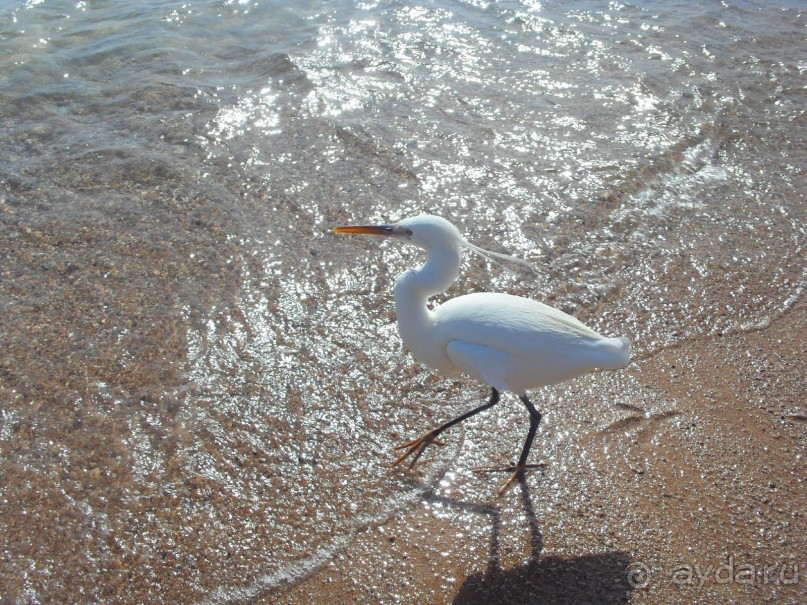 Отель просто класс!!