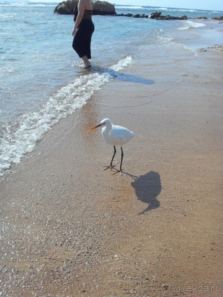 Отель просто класс!!