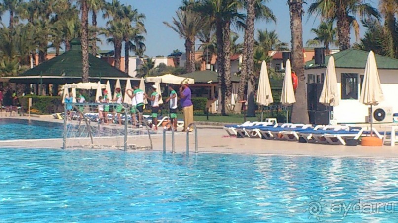 Очень хорошо